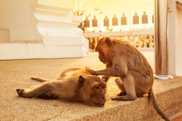 Circuit Des Temples Khmers aux plages de Hua Hin 4* - Vols Flex pas cher photo 1