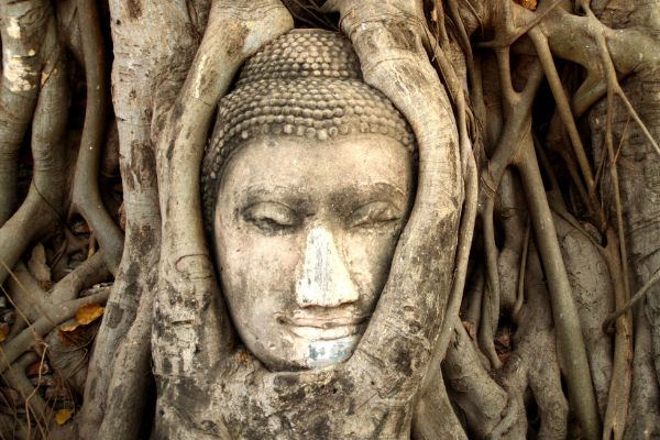 Circuit Charmes de Thaïlande et plage à Khao Lak 5*, Grand Mercure Khao Lak Bangsak 5* + Vols Flex pas cher photo 22