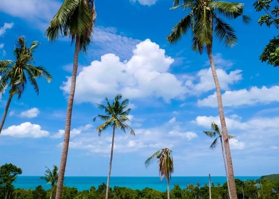 Circuit Des Temples Khmers aux plages de Koh Samui 4* - Vols Flex pas cher photo 4