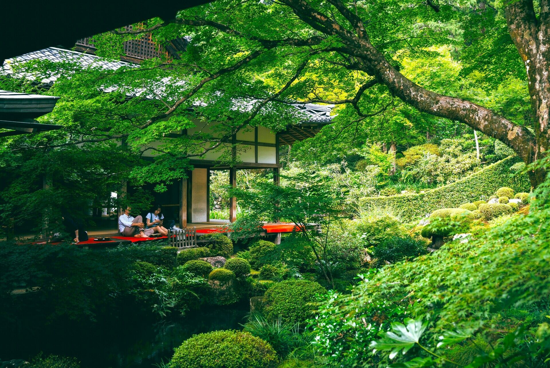 Circuit Individuel Le Japon Autrement 3* pas cher photo 3