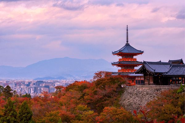 Circuit Essentiel du Japon, de Kyoto à Tokyo pas cher photo 8