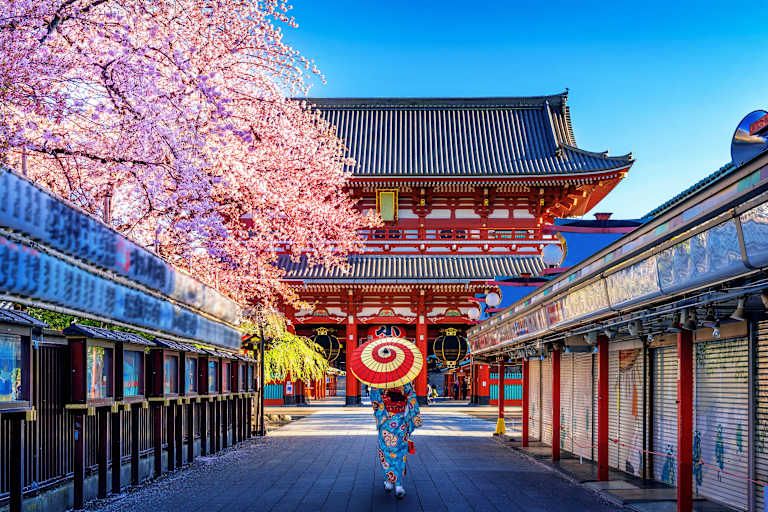 Au Fil du Japon en 3* pas cher photo 3