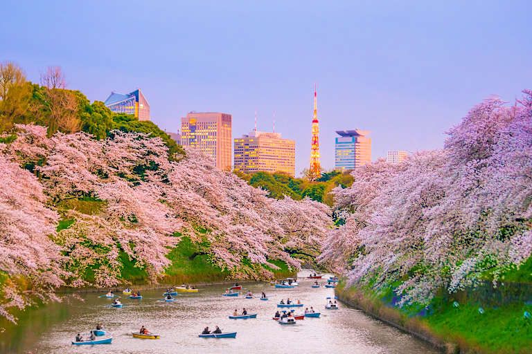 Au Fil du Japon en 3* pas cher photo 4