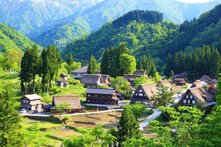Au Fil du Japon en 3* pas cher photo 15