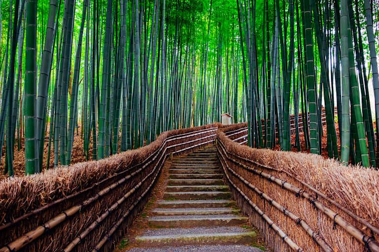 Au Fil du Japon en 3* pas cher photo 25