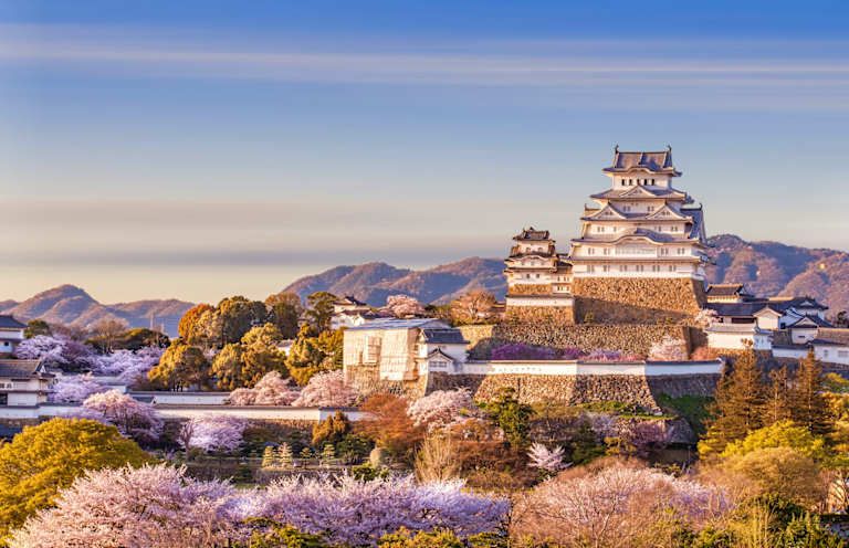 Au Fil du Japon en 3* pas cher photo 26