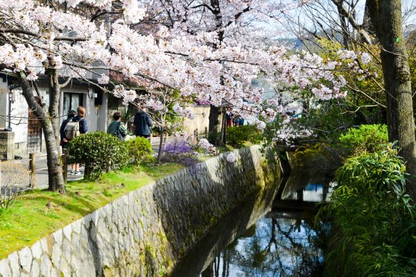 Circuit Trilogie Nippone : Osaka, Kyoto et Tokyo pas cher photo 10