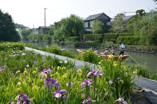 Circuit Japon-Corée, Aux Pays des Merveilles - Vols Flex pas cher photo 11