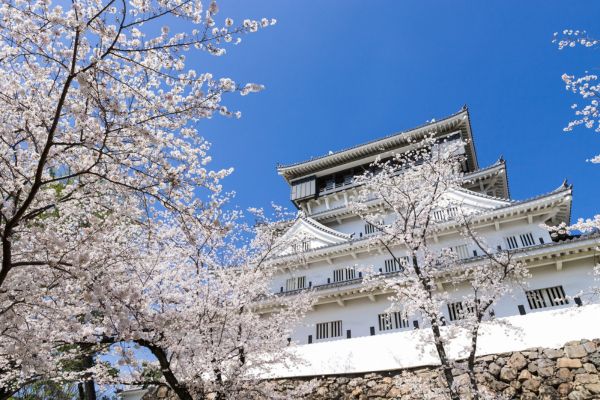 Circuit Japon-Corée, Aux Pays des Merveilles - Vols Flex pas cher photo 12