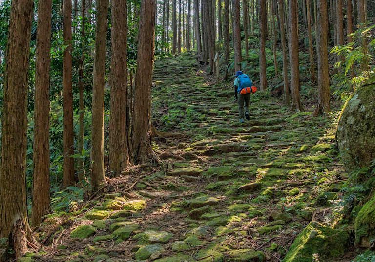 Incontournables Et Trésors Cachés pas cher photo 25