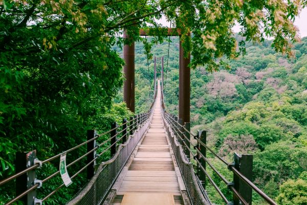 Circuit Aventures en Famille au Japon pas cher photo 9