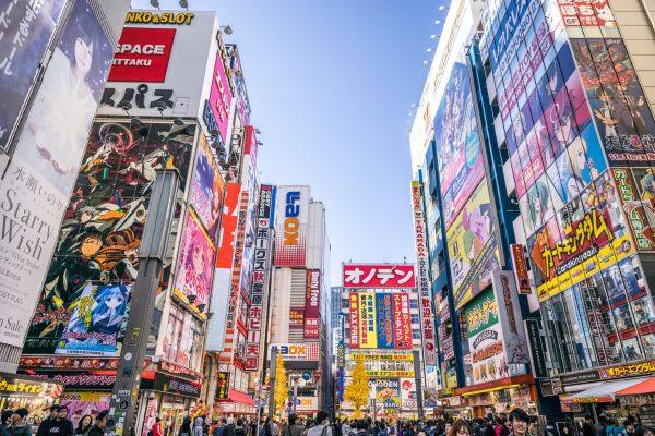 Circuit Aventures en Famille au Japon pas cher photo 13