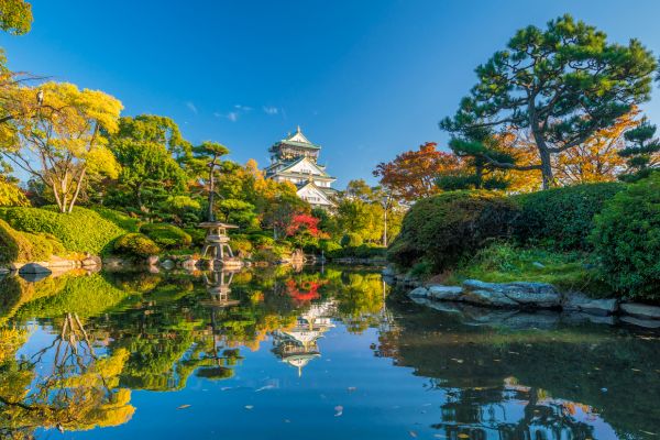 Circuit Aventures en Famille au Japon pas cher photo 14
