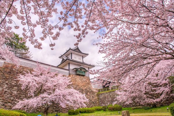 Circuit Grande Traversée du Japon, de Miyajima aux Alpes Japonaises pas cher photo 2