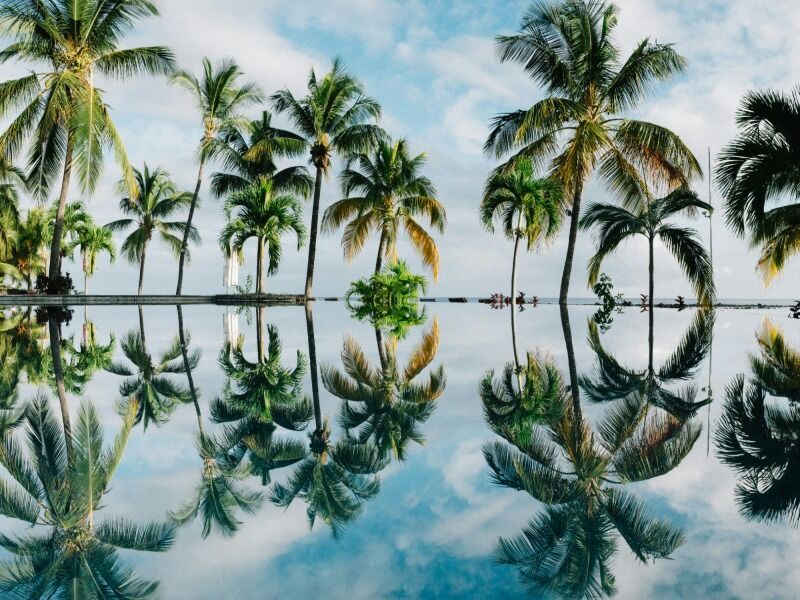 Circuit Maurice, entre Terre et Lagon depuis l’hôtel Outrigger Mauritius Beach Resort 4* pas cher photo 2