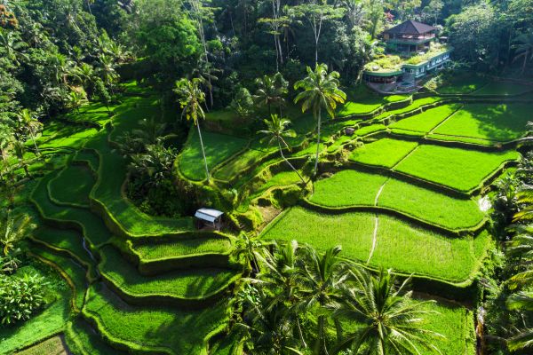 Circuit Charmes de Bali en hôtels Luxe 2*Collection Prestige 2* pas cher photo 22