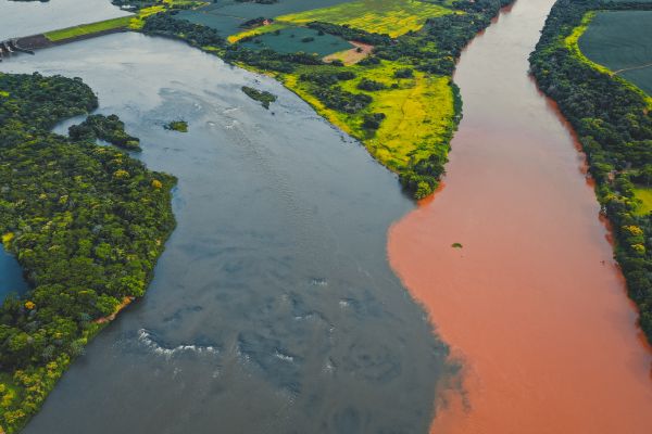 Circuit Les Incontournables du Brésil et de l'Amazonie en Privatif - Vols Flex pas cher photo 35