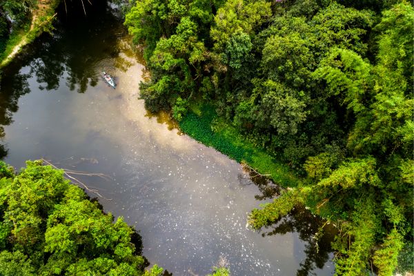 Circuit Les Incontournables du Brésil et de l'Amazonie en Privatif - Vols Flex pas cher photo 38