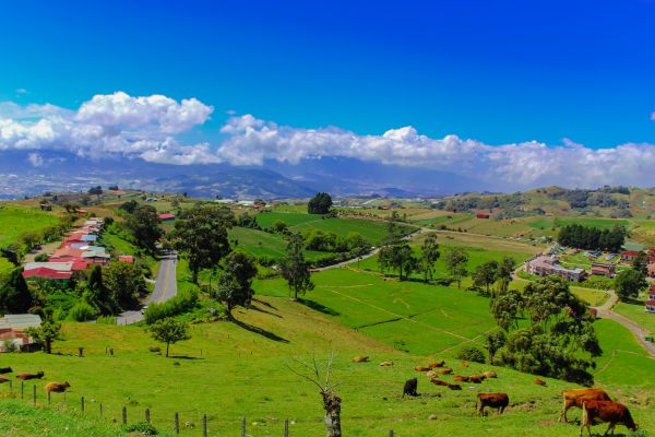 Circuit Costa Rica : Au Coeur des Volcans et des Plages du Pacifique pas cher photo 4