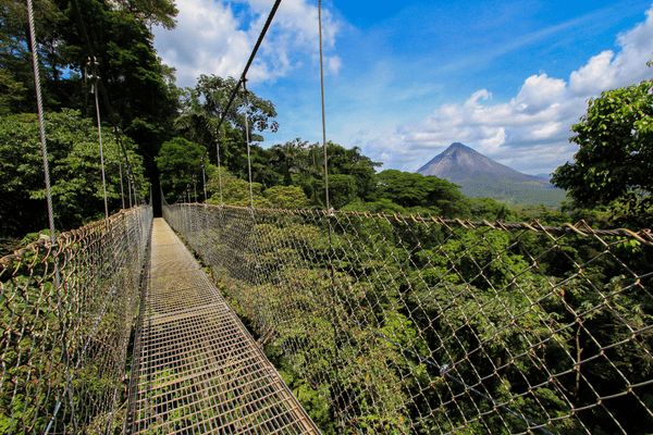 Circuit Costa Rica : Au Coeur des Volcans et des Plages du Pacifique pas cher photo 8