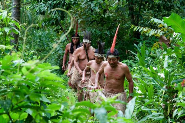 Circuit Costa Rica : Au Coeur des Volcans et des Plages du Pacifique pas cher photo 12