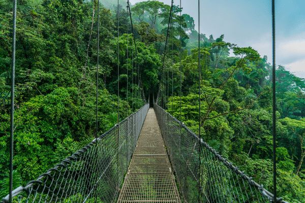 Circuit Costa Rica : Au Coeur des Volcans et des Plages du Pacifique pas cher photo 14