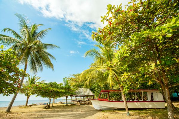 Circuit Costa Rica : Au Coeur des Volcans et des Plages du Pacifique pas cher photo 18