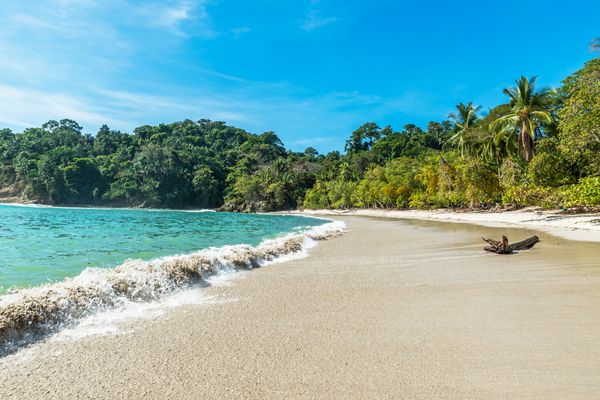 Circuit Costa Rica : Au Coeur des Volcans et des Plages du Pacifique pas cher photo 23