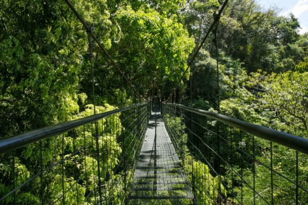 Circuit Costa Rica : Au Coeur des Volcans et des Plages du Pacifique pas cher photo 28