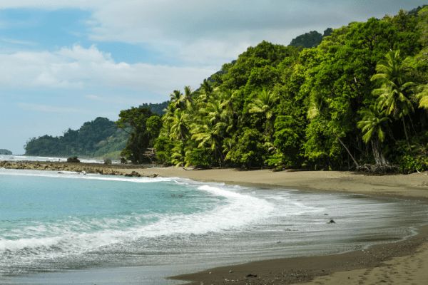Circuit Costa Rica : Au Coeur des Volcans et du Parc de Corcovado pas cher photo 1