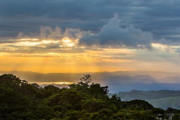 Circuit Costa Rica : Au Coeur des Volcans et du Parc de Corcovado pas cher photo 18