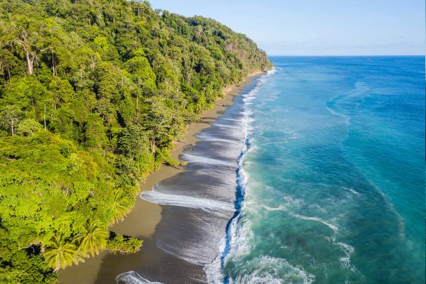 Circuit Costa Rica : Au Coeur des Volcans et du Parc de Corcovado pas cher photo 31