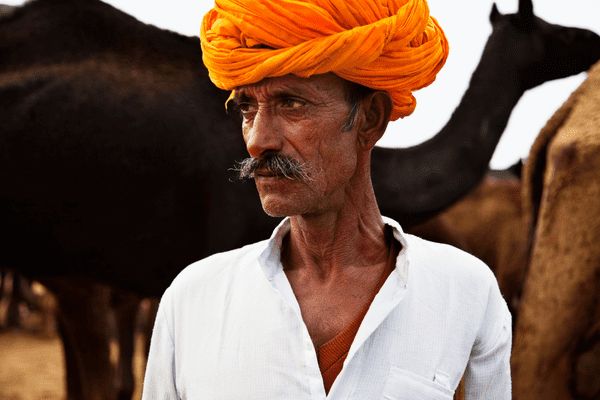 Circuit Charme et Luxe au Rajasthan en Privatif 4* - Vols Flex pas cher photo 26