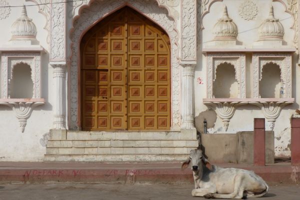 Circuit Charme et Luxe au Rajasthan en Privatif 5* - Vols Flex pas cher photo 14