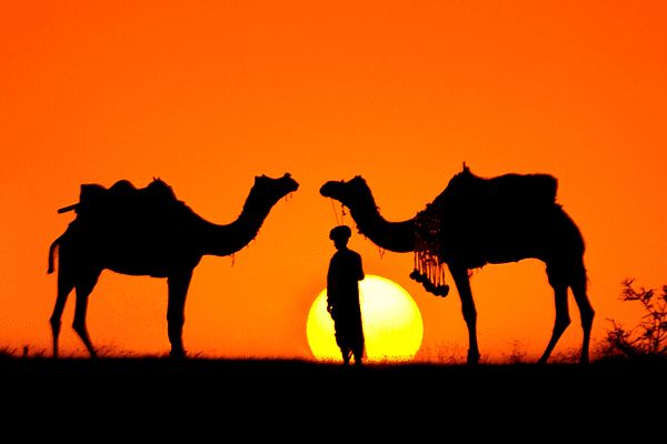 Circuit Charme et Luxe au Rajasthan en Privatif 5* - Vols Flex pas cher photo 25