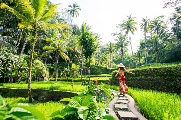 Circuit Secrets de Bali et Plage de Gili Trawangan - Vols Flex pas cher photo 17
