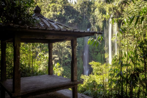 Circuit L'Ouest Insolite de Bali à Java pas cher photo 27