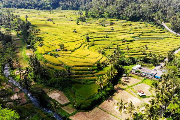 Circuit L'Ouest Insolite de Bali à Java pas cher photo 29