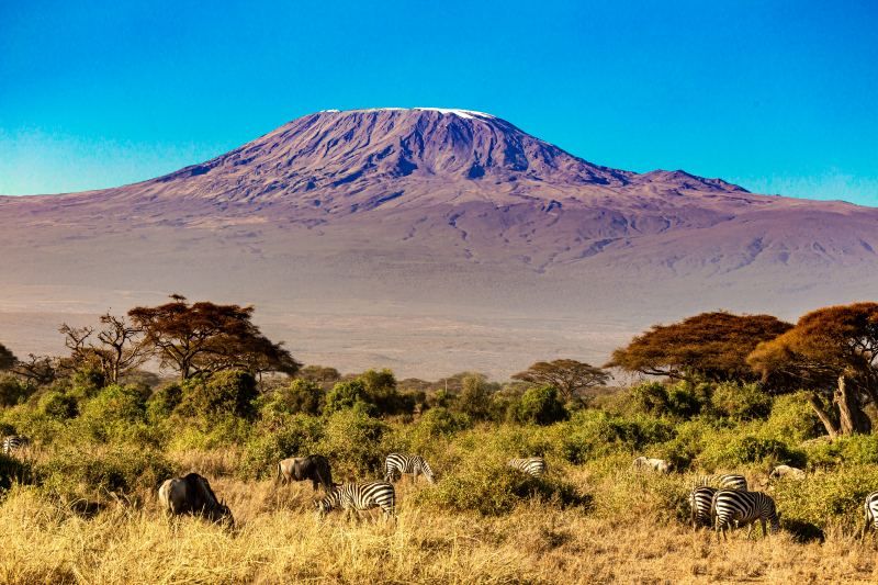 Circuit Jet tours Safari Tsavo East, Amboseli et Taita Hills 3 nuits et Séjour au Severin Sea Lodge pas cher photo 2