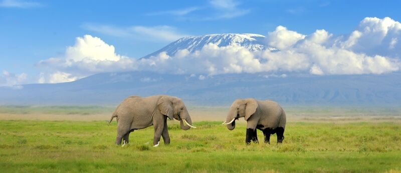 Circuit Jet tours Safari Tsavo East, Amboseli et Taita Hills 3 nuits et Séjour au Severin Sea Lodge pas cher photo 3