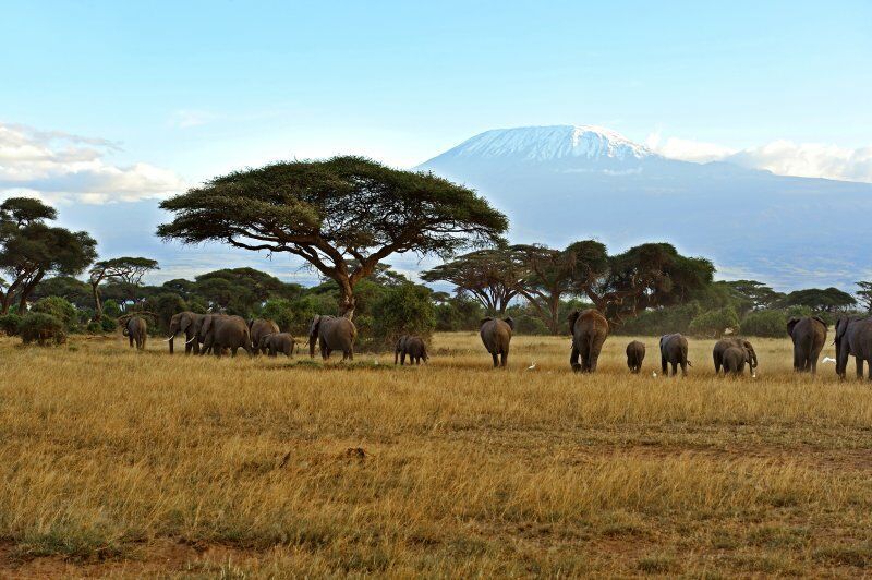 Circuit Jet tours Safari Tsavo East, Amboseli et Taita Hills 3 nuits et Séjour au Severin Sea Lodge pas cher photo 4