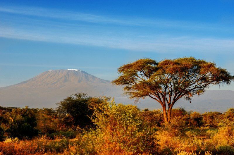 Circuit Jet tours Safari Tsavo East, Amboseli et Taita Hills 3 nuits et Séjour au Severin Sea Lodge pas cher photo 8