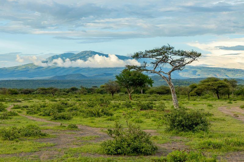 Circuit Jet tours Safari Tsavo East, Amboseli et Taita Hills 3 nuits et Séjour au Severin Sea Lodge pas cher photo 9