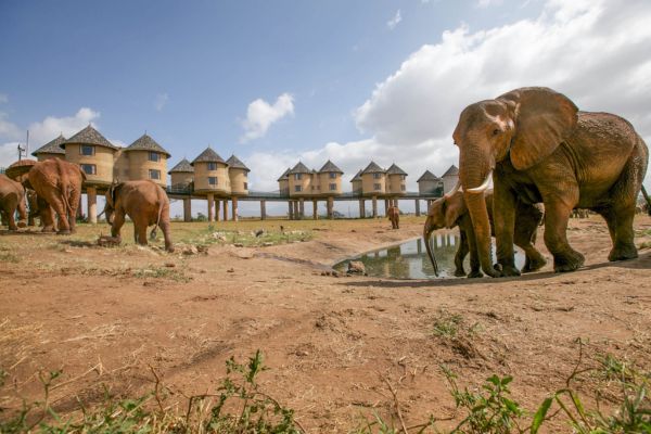 Combiné Soleil et Safari, Merveilles du Kenya en Famille - Vols Flex pas cher photo 26