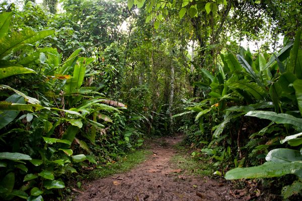 Circuit Exploration Péruvienne : de Lima à la Jungle Amazonienne - Vols Flex pas cher photo 66