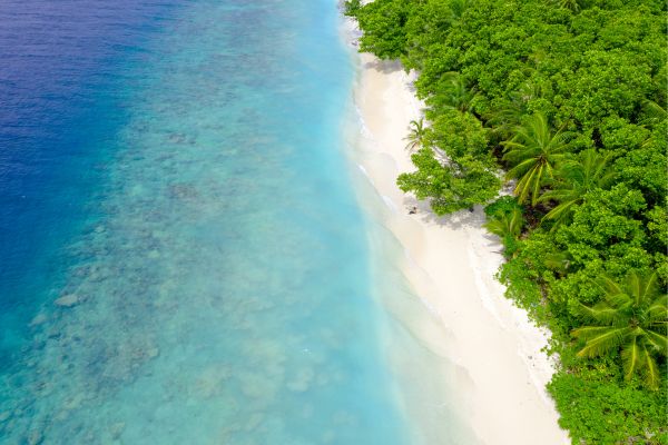 Circuit L'essentiel du Sri Lanka et plages des Maldives pas cher photo 1