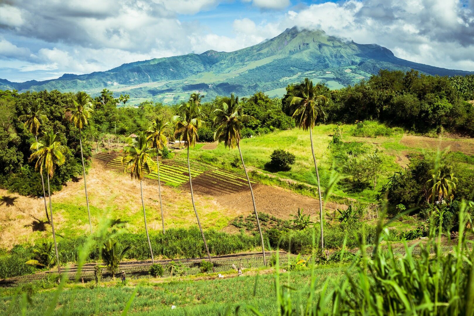 Sur la Route : Martinique, Guadeloupe et Les Saintes - 17J/15N pas cher photo 4