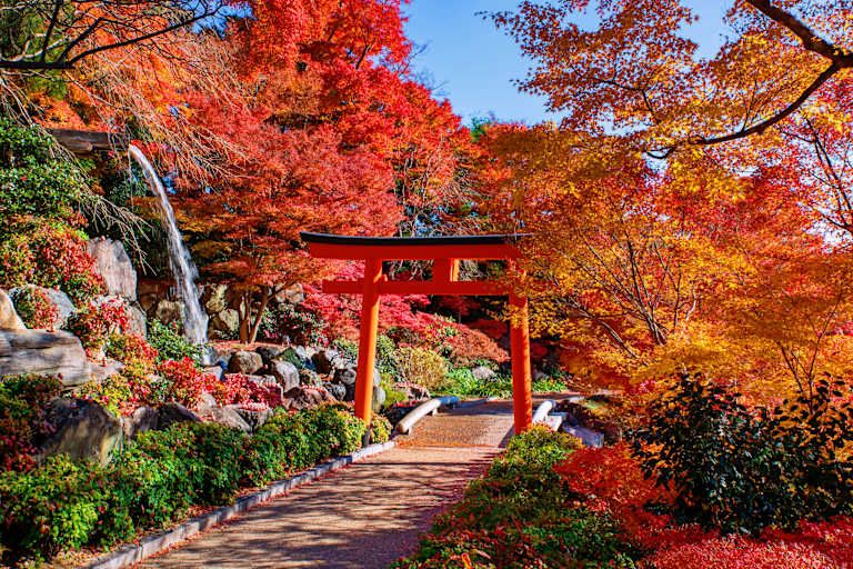 Arts et traditions au Japon pas cher