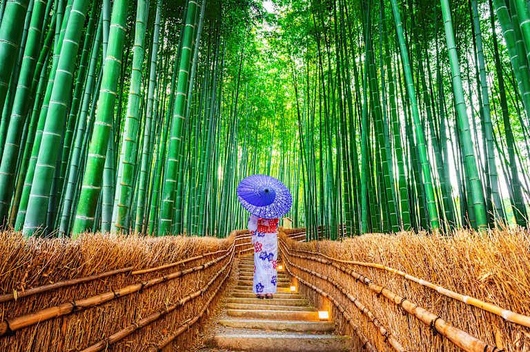 Arts et traditions au Japon pas cher photo 14