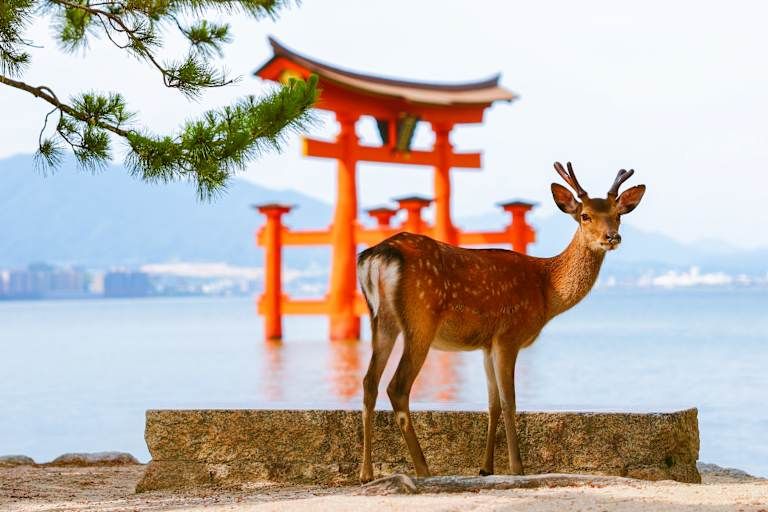 Arts et traditions au Japon pas cher photo 20